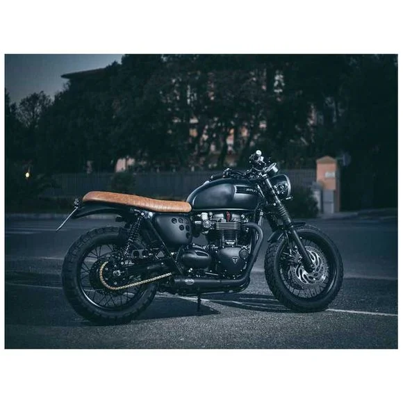 media.motoblouz6-631879